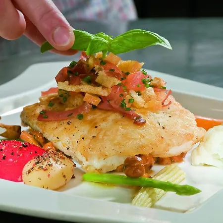 Ringhotel Drees Hotel 4*