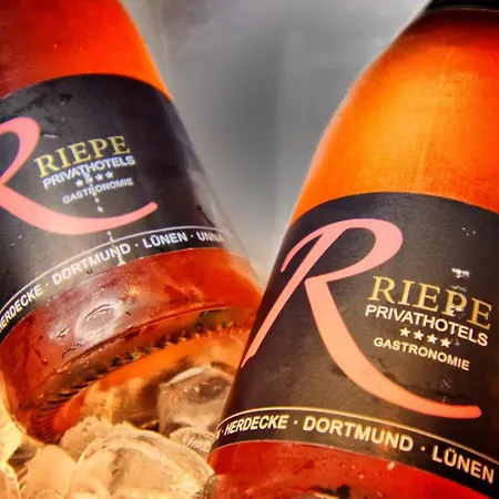 Hotell Ringhotel Drees