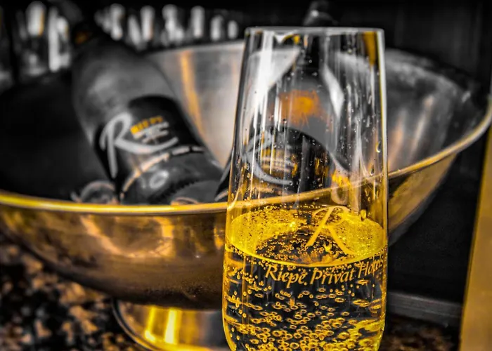 Hotel Ringhotel Drees 4*