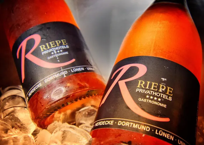 Hotel Ringhotel Drees